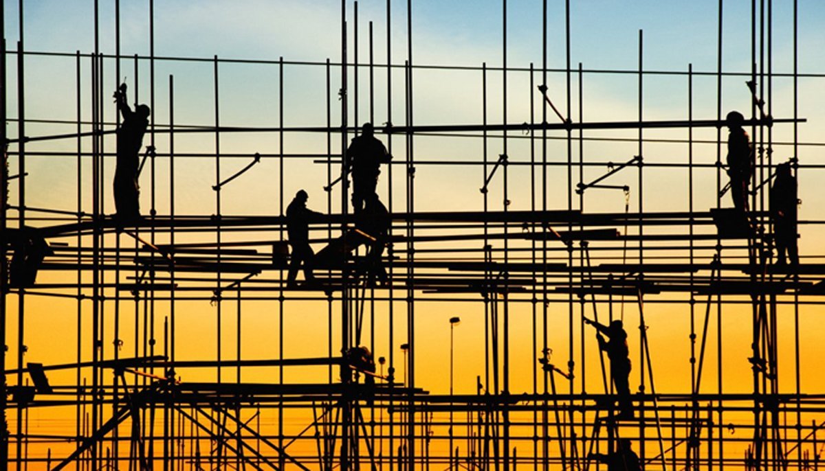Read more about the article Protection of rights and development